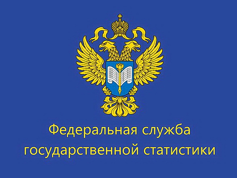 Обследование удовлетворенности пользователей официальной статистической информацией.