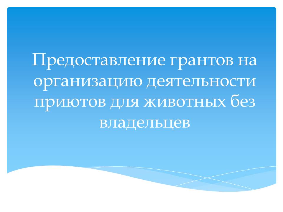 Предоставление грантов на организацию деятельности приютов для животных без владельцев.