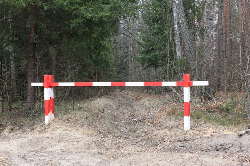 Временное ограничение на  посещение лесов на территории Завьяловского района.