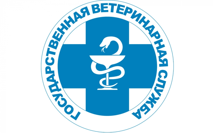 Случай африканской чумы свиней выявлен в Удмуртии.