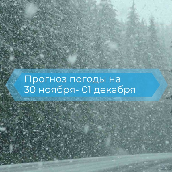 Прогноз погоды на 30 ноября  и 01 декабря.