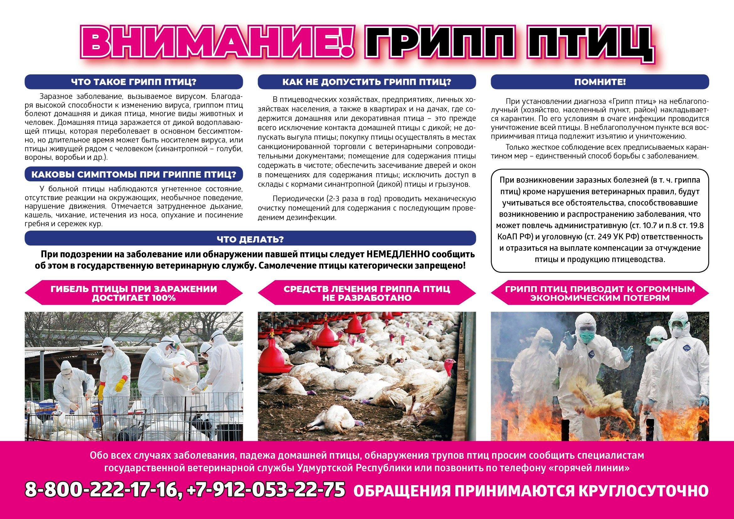 Птичий грипп.