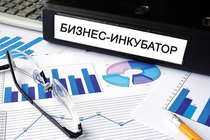 Конкурсе на заключение договора безвозмездного оказания услуг дистанционного бизнес-инкубирования.