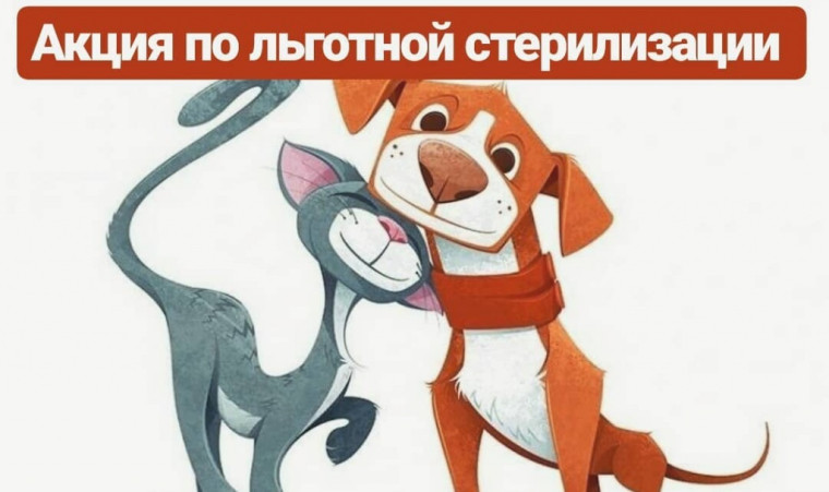 Месячник по проведению льготной стерилизации домашних животных. Месячник по проведению льготной стерилизации домашних животных.
