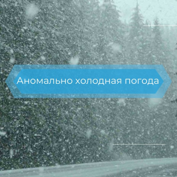Аномально холодная погода. Аномально холодная погода.